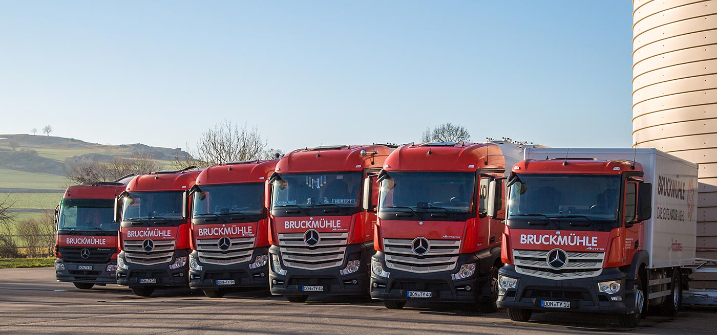 Bruckmuehle Noerdlingen 06