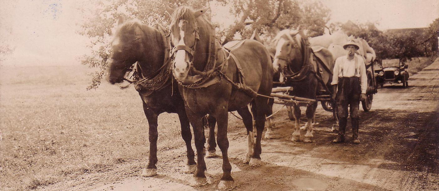 Bruckmuehle Noerdlingen firmengeschichte 1